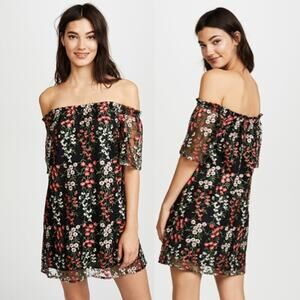 BB Dakota Gates Floral Embroidered Mini Dress